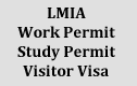 Temporary Visa